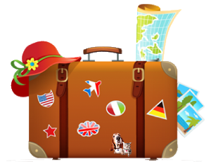 travel luggage 